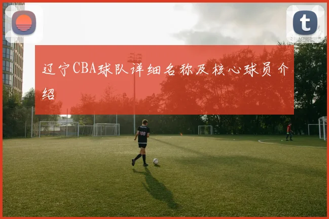 辽宁CBA球队详细名称及核心球员介绍