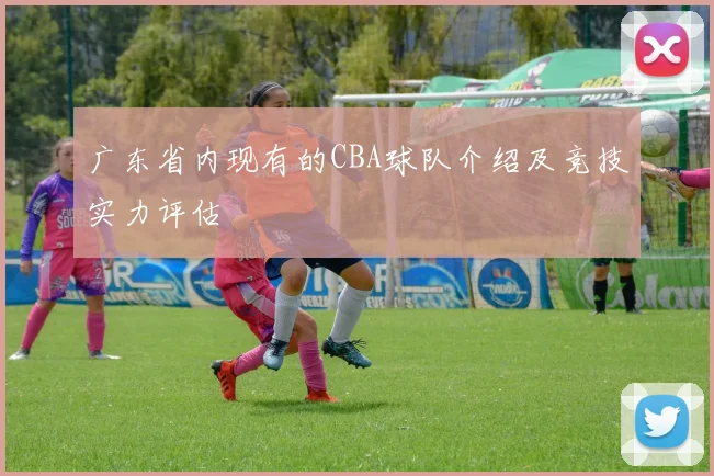 广东省内现有的CBA球队介绍及竞技实力评估