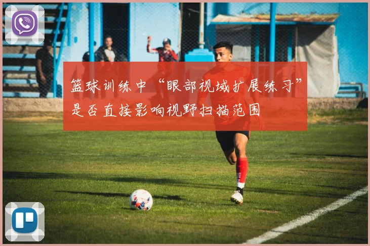篮球训练中“眼部视域扩展练习”是否直接影响视野扫描范围